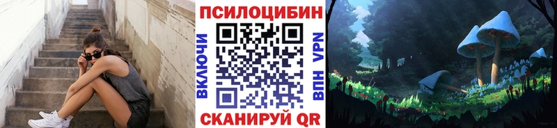 Купить где  Новоалтайск  Псилоцибиновые грибы Cubensis 